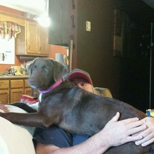 Meet your Posher, Mary